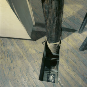 Detail : Cut